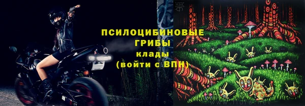 СК Алзамай