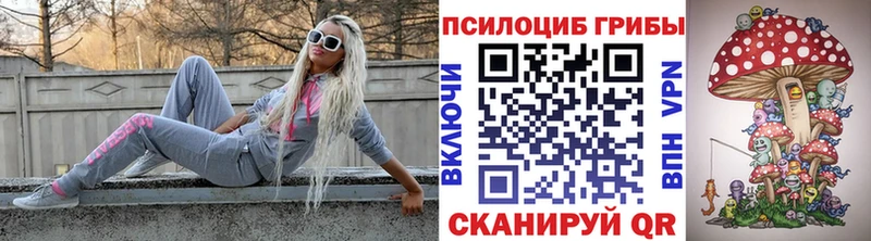 Псилоцибиновые грибы GOLDEN TEACHER  мега как зайти  Вилючинск 